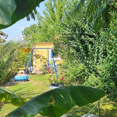 Paradise-Garden-Zamárdi Екстериор снимка