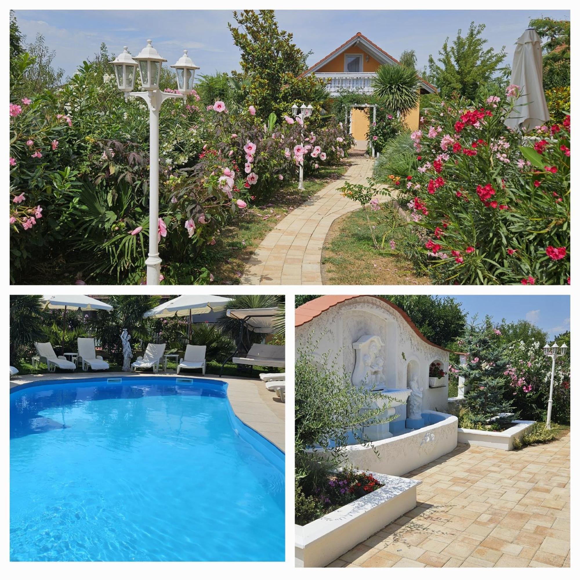Paradise-Garden-Zamárdi Стая снимка